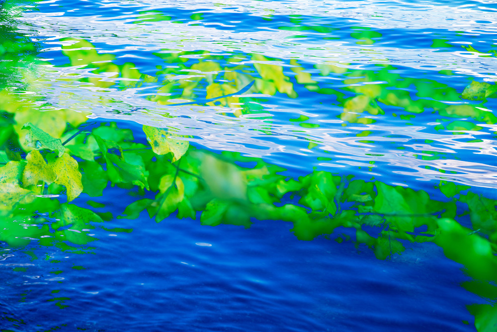 Fotokunst von Nico Hänisch bei Kunst am See-Hafen 2025