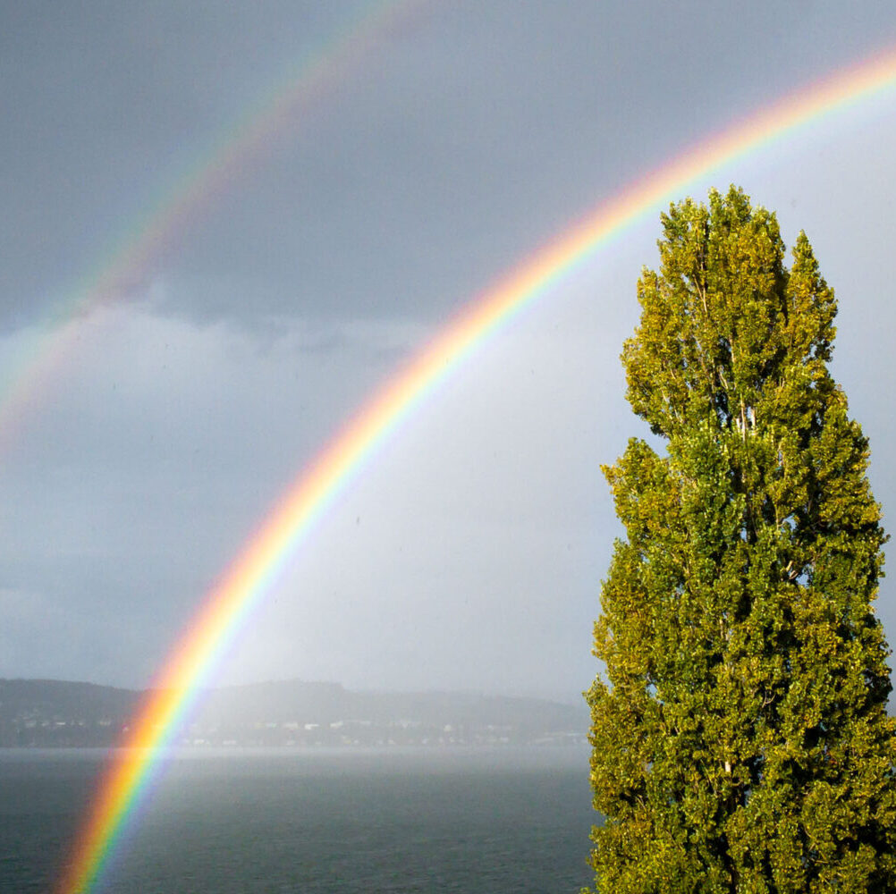 Bild eines Regenbogen über dem Bodensee