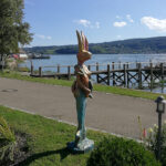 Stehende See-Häsin vor dem Löchnerhaus Reichenau